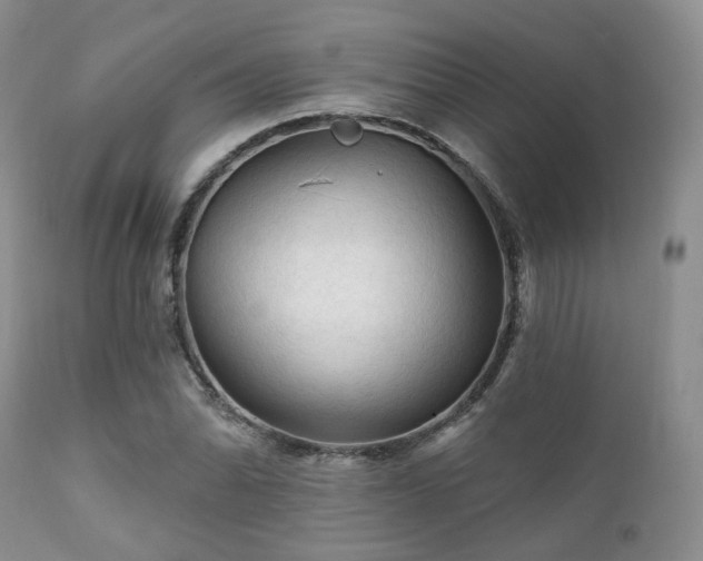 X0000112101070200908111412
