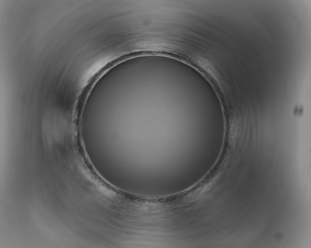 X0000112101071200908111412