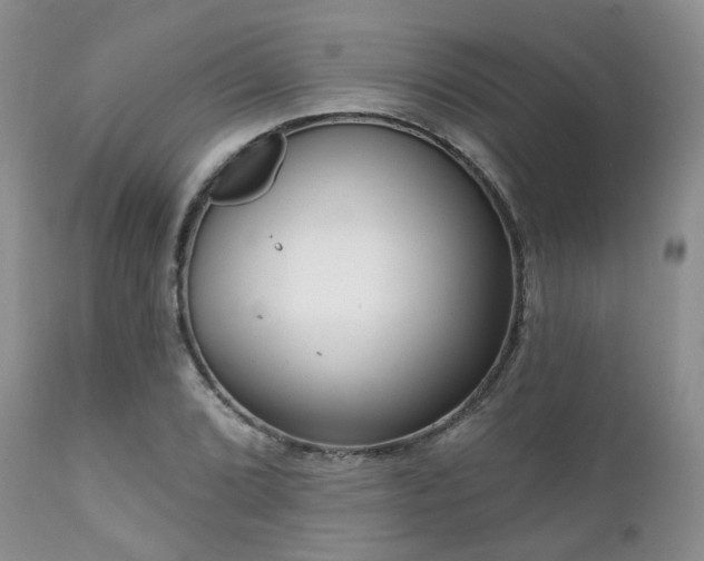 X0000112101072200908111412