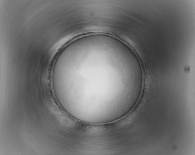 X0000112101074200908111412