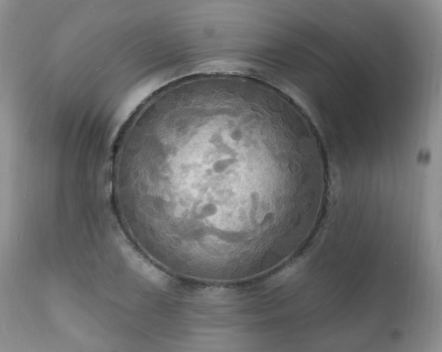 X0000112101075200908111412