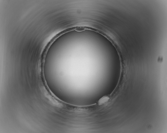 X0000112101076200908111412