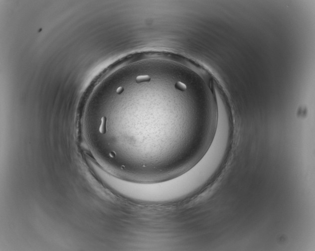 X0000112101077200908111412