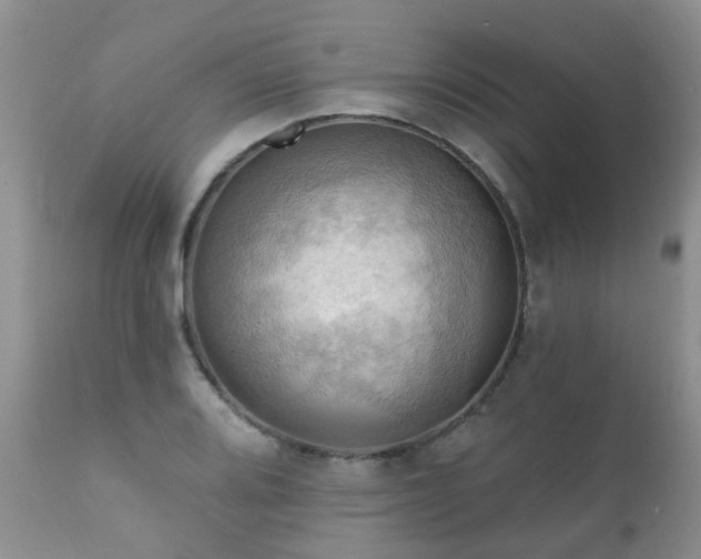 X0000112101080200908111412