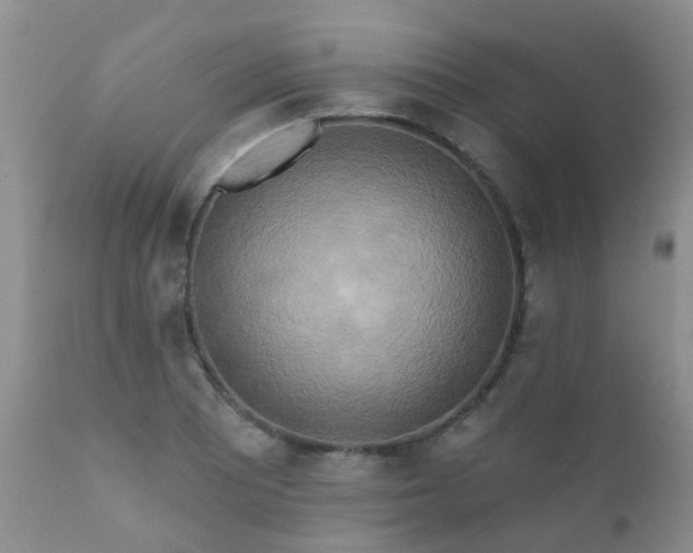 X0000112101081200908111412