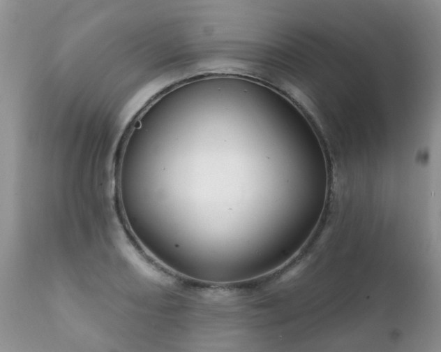 X0000112101082200908111412