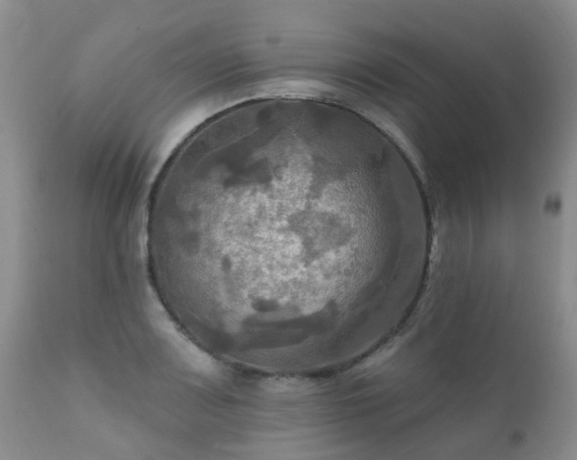 X0000112101083200908111412