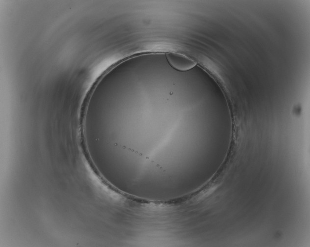 X0000112101087200908111412