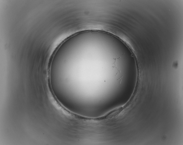 X0000112101088200908111412