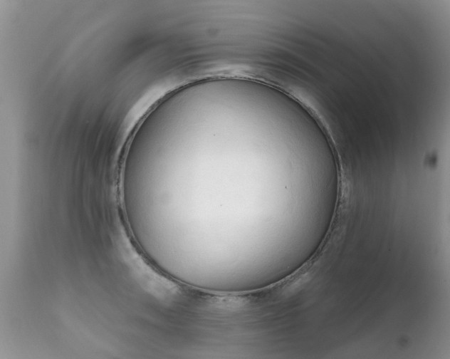 X0000112101090200908111412
