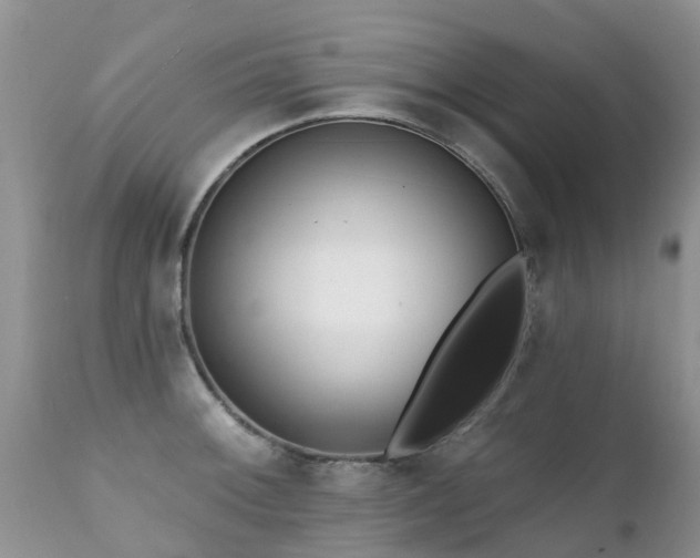X0000112101092200908111412