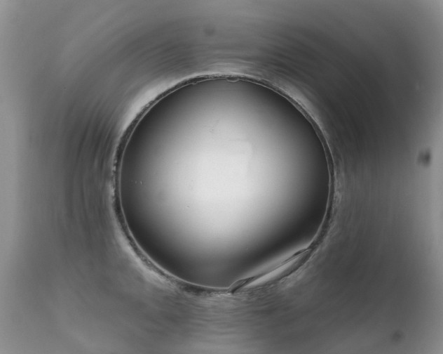 X0000112101093200908111412
