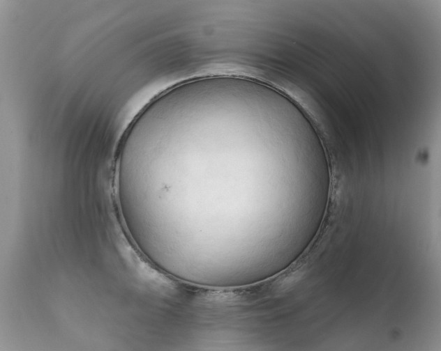 X0000112101094200908111412