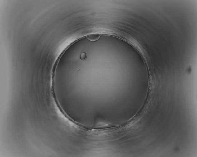 X0000112101095200908111412