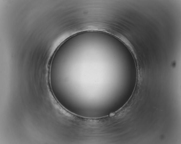 X0000112101096200908111412