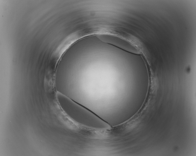 X0000112101097200908111412