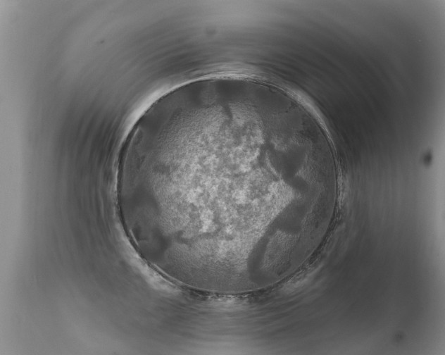 X0000112101099200908111411