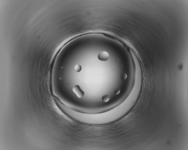X0000112101100200908111411
