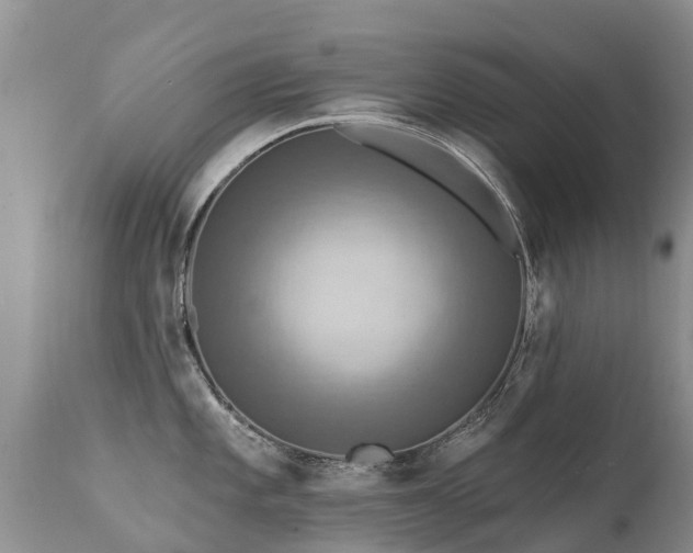 X0000112101101200908111411