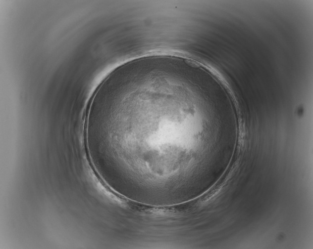 X0000112101102200908111411