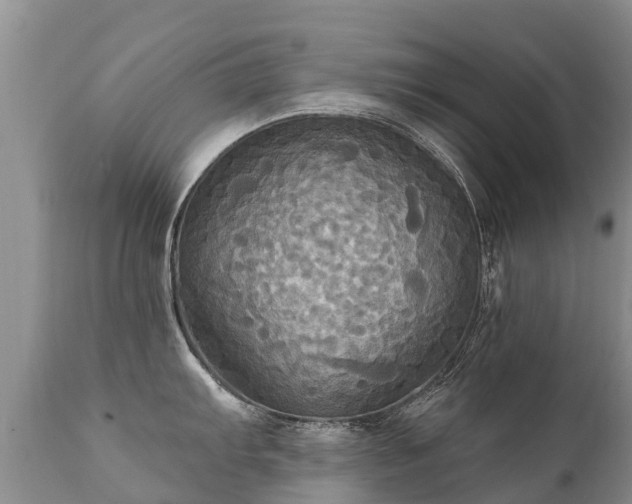 X0000112101103200908111411