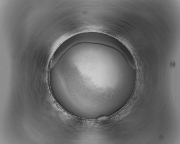 X0000112101104200908111411