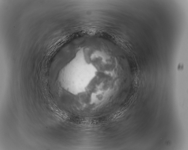 X0000112101105200908111410