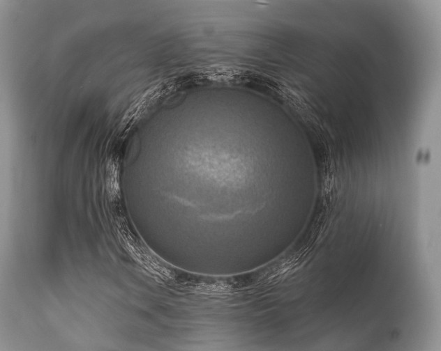 X0000112101106200908111410