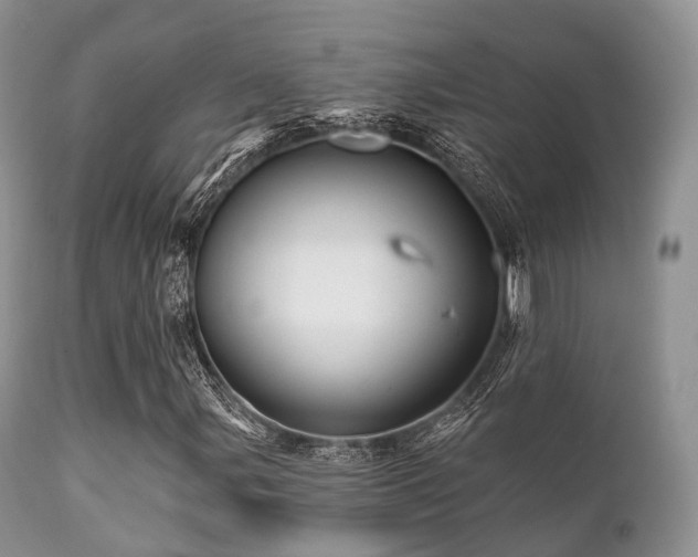 X0000112101107200908111410