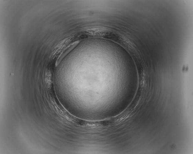 X0000112101108200908111410