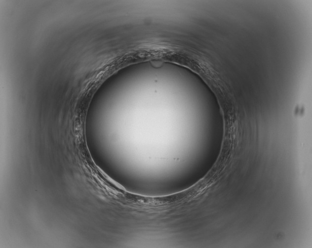 X0000112101109200908111411