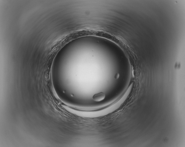 X0000112101110200908111411
