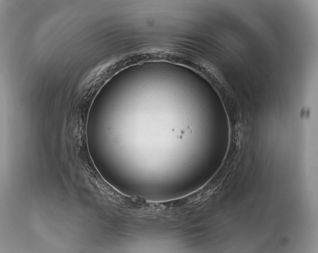 X0000112101111200908111411