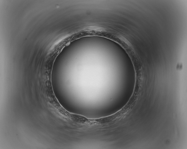 X0000112101112200908111411