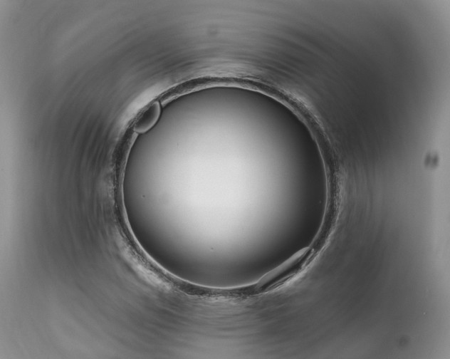 X0000112101114200908111411