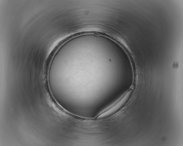X0000112101116200908111411