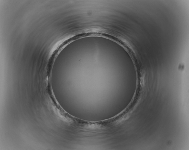 X0000112101117200908111411