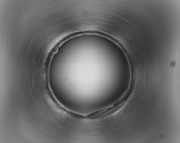 X0000112101118200908111411