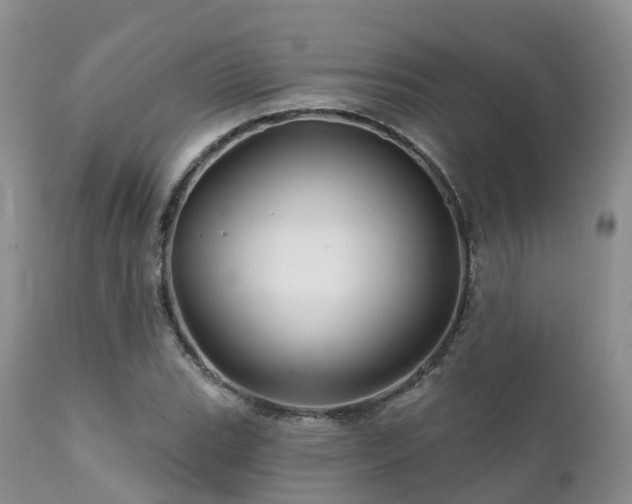 X0000112101119200908111411