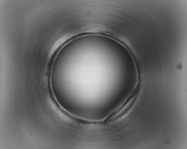 X0000112101122200908111411