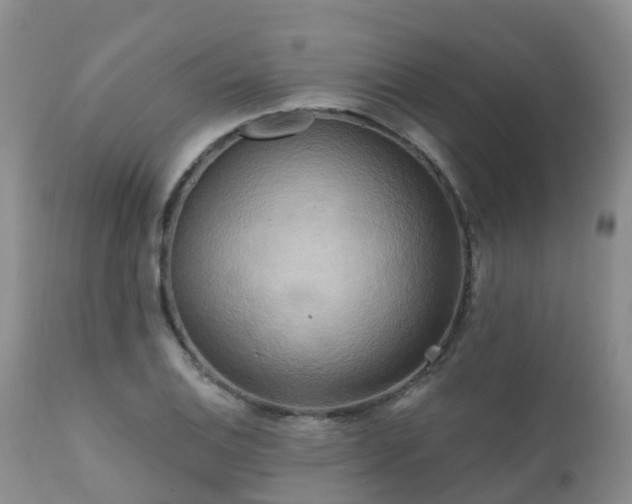 X0000112101124200908111411