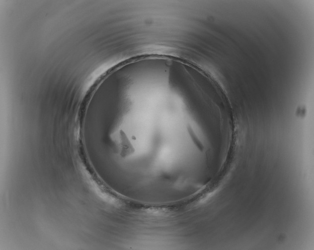 X0000112101125200908111411