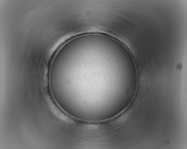 X0000112101126200908111411