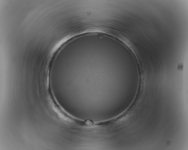 X0000112101127200908111411