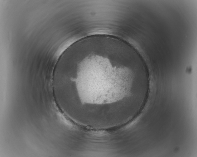 X0000112101129200908111411
