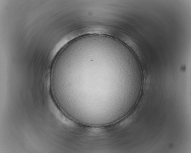 X0000112101130200908111411