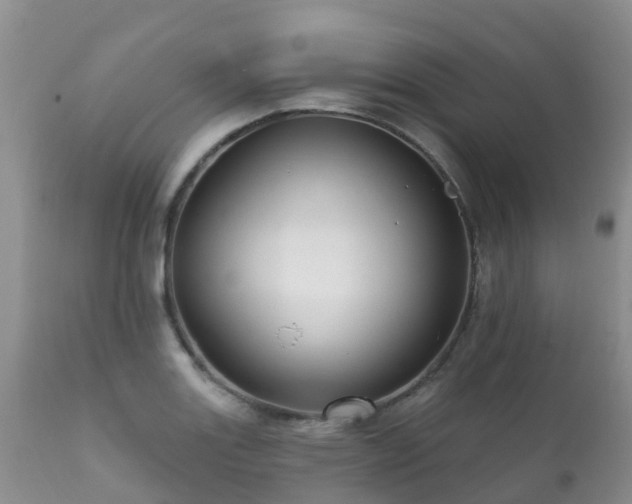 X0000112101131200908111411