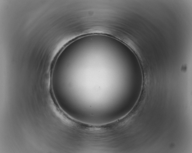 X0000112101132200908111411