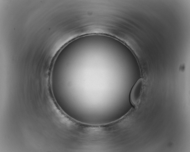 X0000112101134200908111411