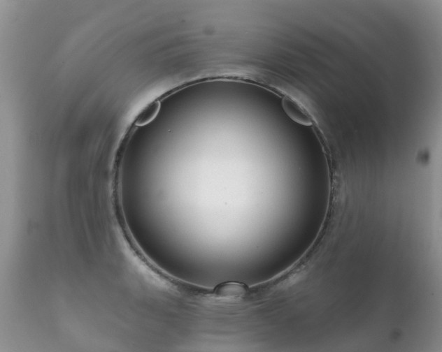 X0000112101135200908111411